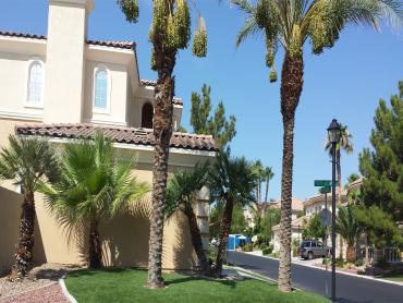 Artificial Grass Photos: Fake Pet Turf Murrieta California Landscape, Lawns